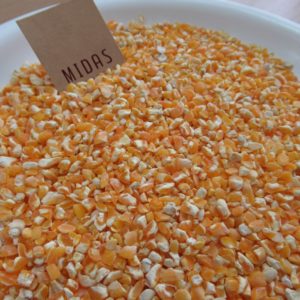 NON-GMO ANIMAL FEED – Midas Overseas